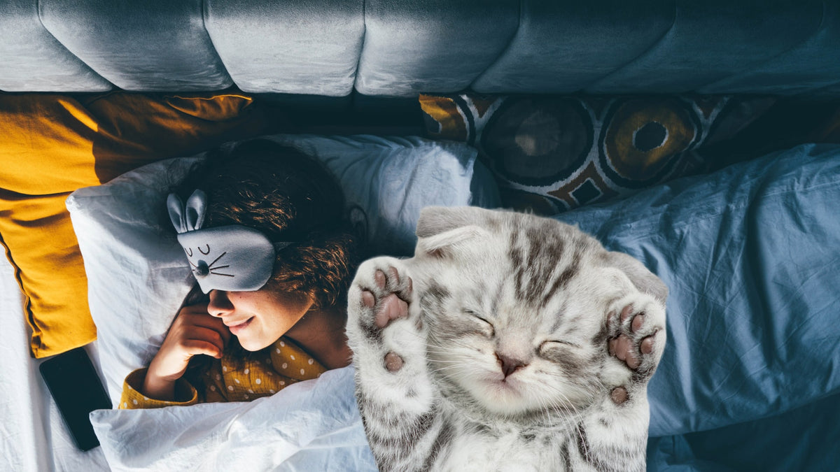 Tips for restful sleep