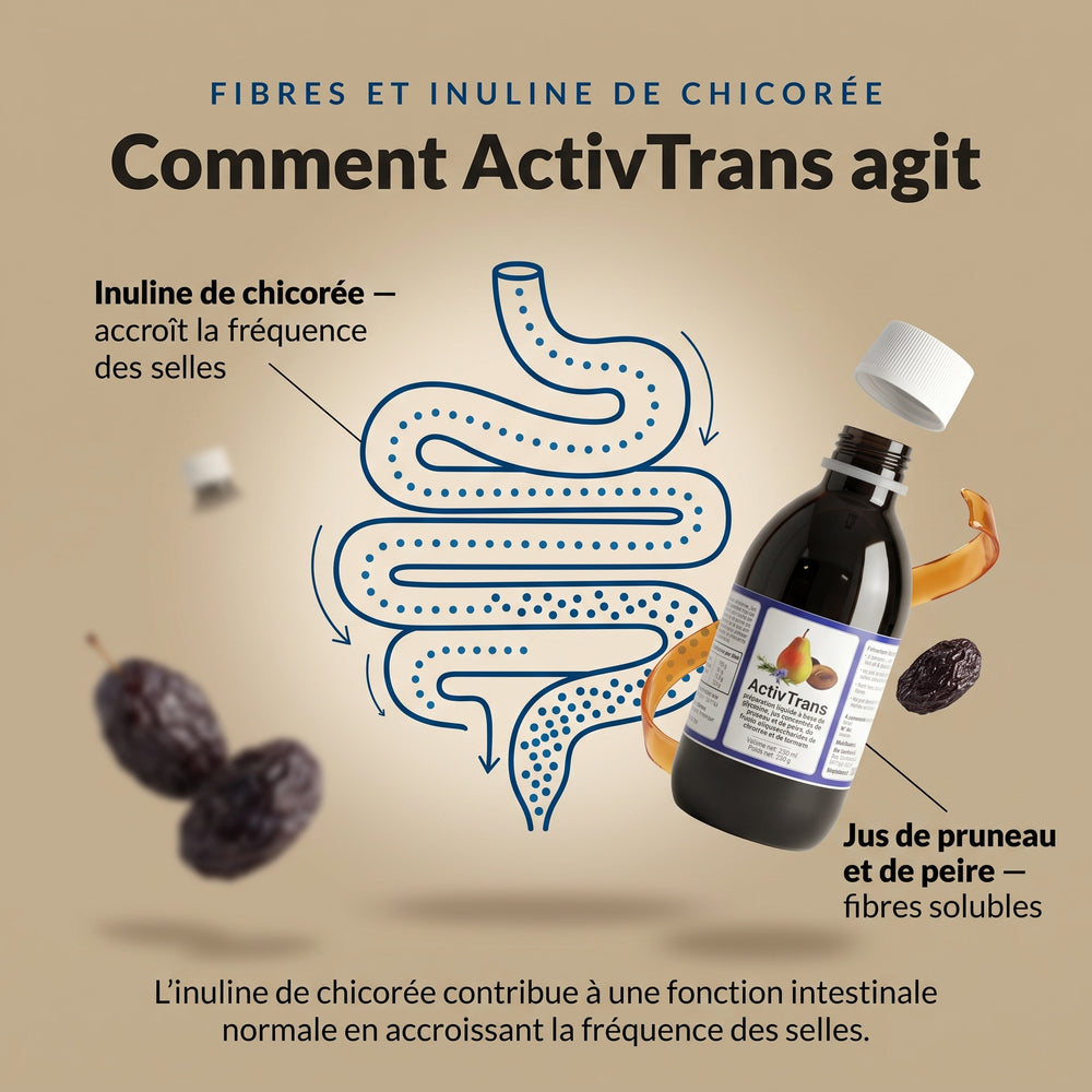 ActivTrans : infographie sur les fibres et l’inuline de chicorée