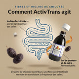 ActivTrans : infographie sur les fibres et l’inuline de chicorée