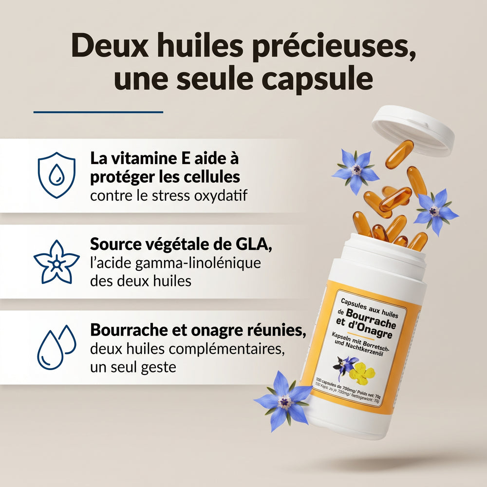 Huile de bourrache et d’onagre : infographie, deux huiles dans une capsule