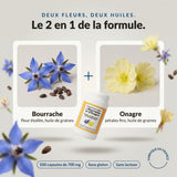 Bourrache et onagre, deux fleurs et deux huiles : infographie