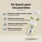 CalMagTif : infographie de la formule, magnésium, calcium, mélisse et oranger amer