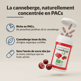 Canneberge bio : infographie sur la teneur en PACs