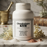Chondrolagen Forte – Dose neben einem Mörser und Mädesüssblüten
