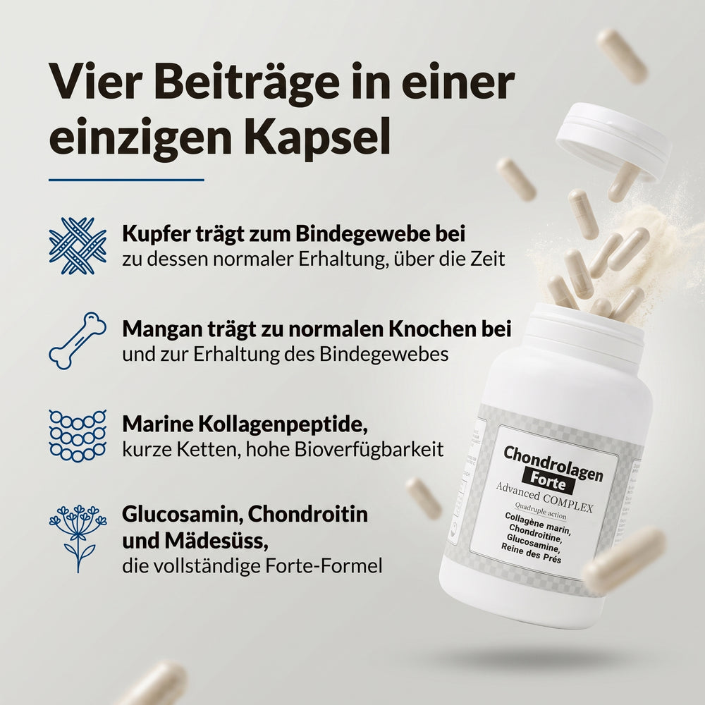 Chondrolagen Forte: Infografik, vier Beiträge in einer Kapsel