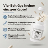 Chondrolagen Forte: Infografik, vier Beiträge in einer Kapsel