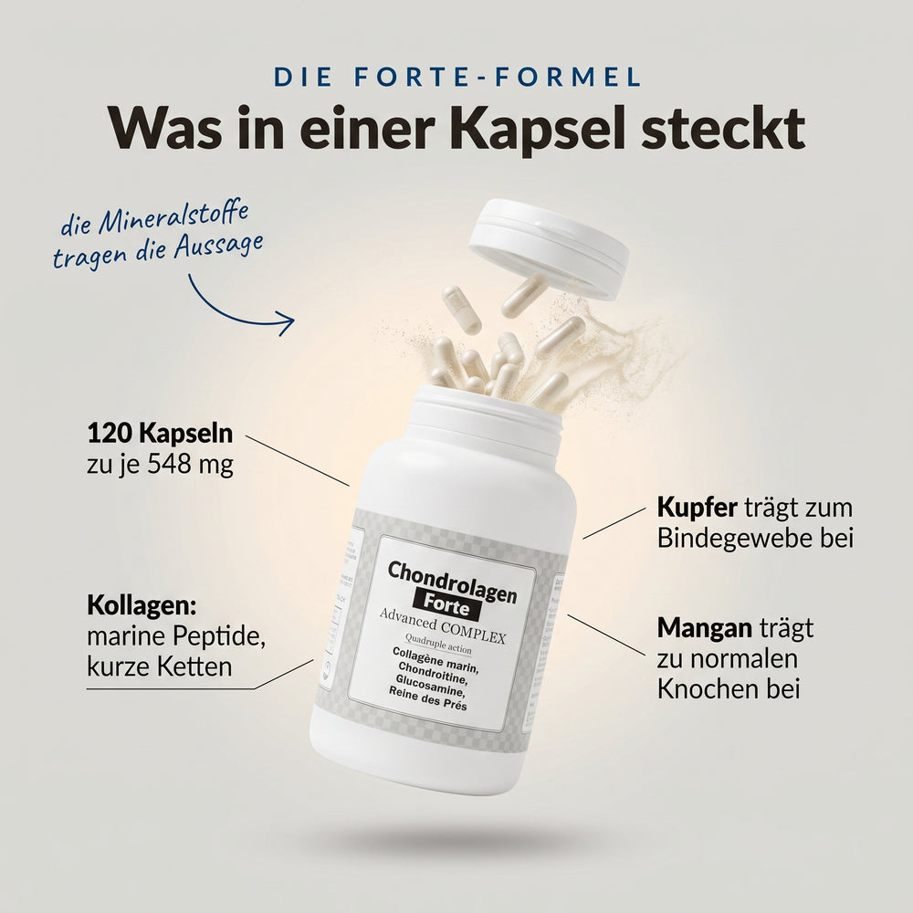 Chondrolagen Forte: Infografik zum Inhalt einer Kapsel