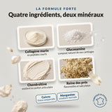 Chondrolagen Forte : infographie des ingrédients, collagène marin, glucosamine, reine-des-prés, cuivre et manganèse