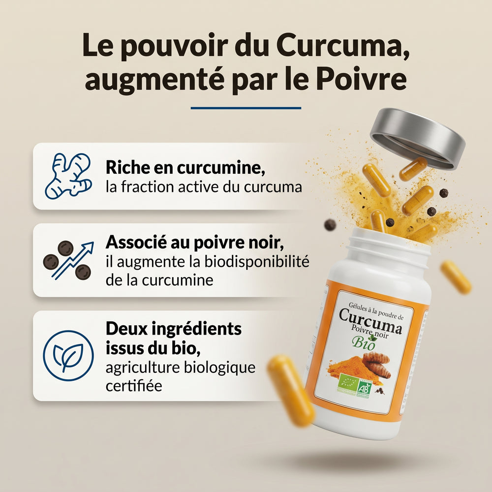 Curcuma et poivre noir bio : infographie de la formule