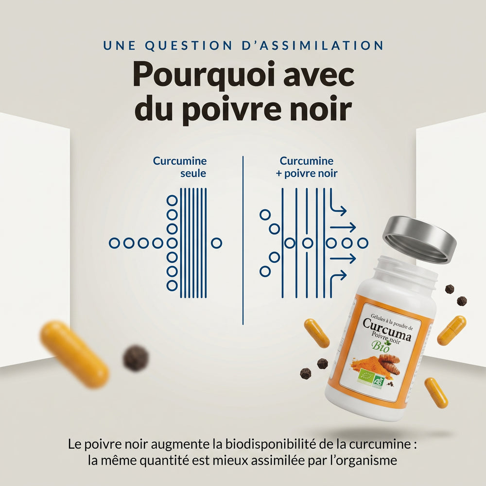 Curcuma et poivre noir : infographie, pourquoi le poivre noir dans la formule