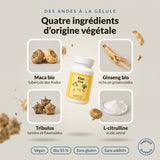 Élan Vital : infographie des ingrédients, maca bio, ginseng bio, tribulus et L-citrulline