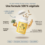 Élan Vital : infographie, une formule 100 % végétale