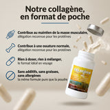 GELAFORM Collagen+ en gélules, format de poche : infographie
