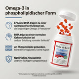 Krillöl: Infografik, Omega-3 in phospholipidischer Form