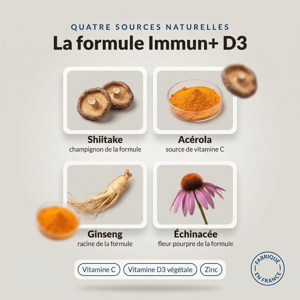 Immun+ D3 : infographie des ingrédients, shiitaké, acérola, ginseng et échinacée