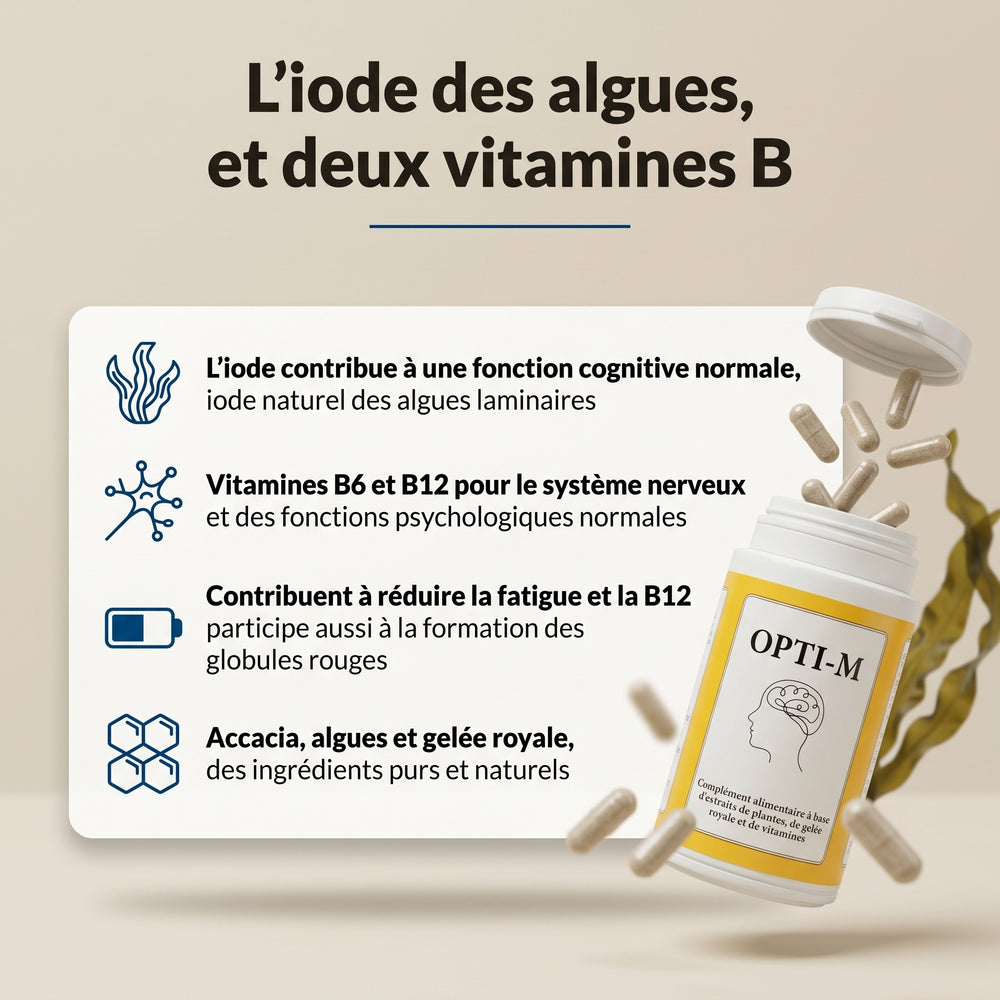 Opti-M : infographie, l’iode des algues et deux vitamines B