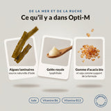 Opti-M : infographie des ingrédients, algues laminaires, gelée royale et gomme d’acacia