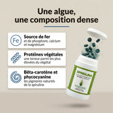 Spiruline : infographie sur la composition de l’algue