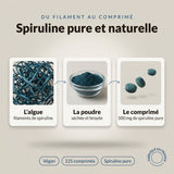 Spiruline pure, du filament au comprimé : infographie