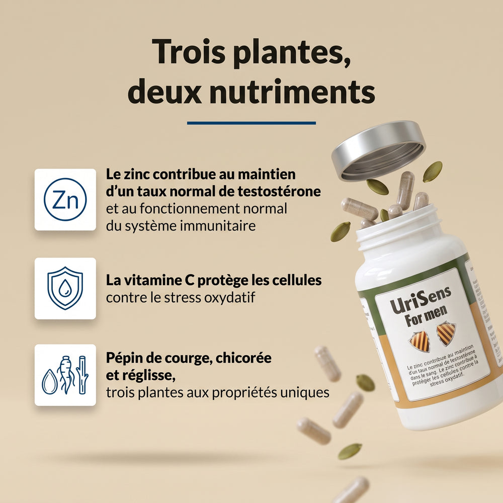 UriSens for Men : infographie, trois plantes et deux nutriments