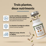 UriSens for Men : infographie, trois plantes et deux nutriments