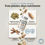 UriSens for Men : infographie des ingrédients, pépin de courge, chicorée, réglisse, zinc et vitamine C