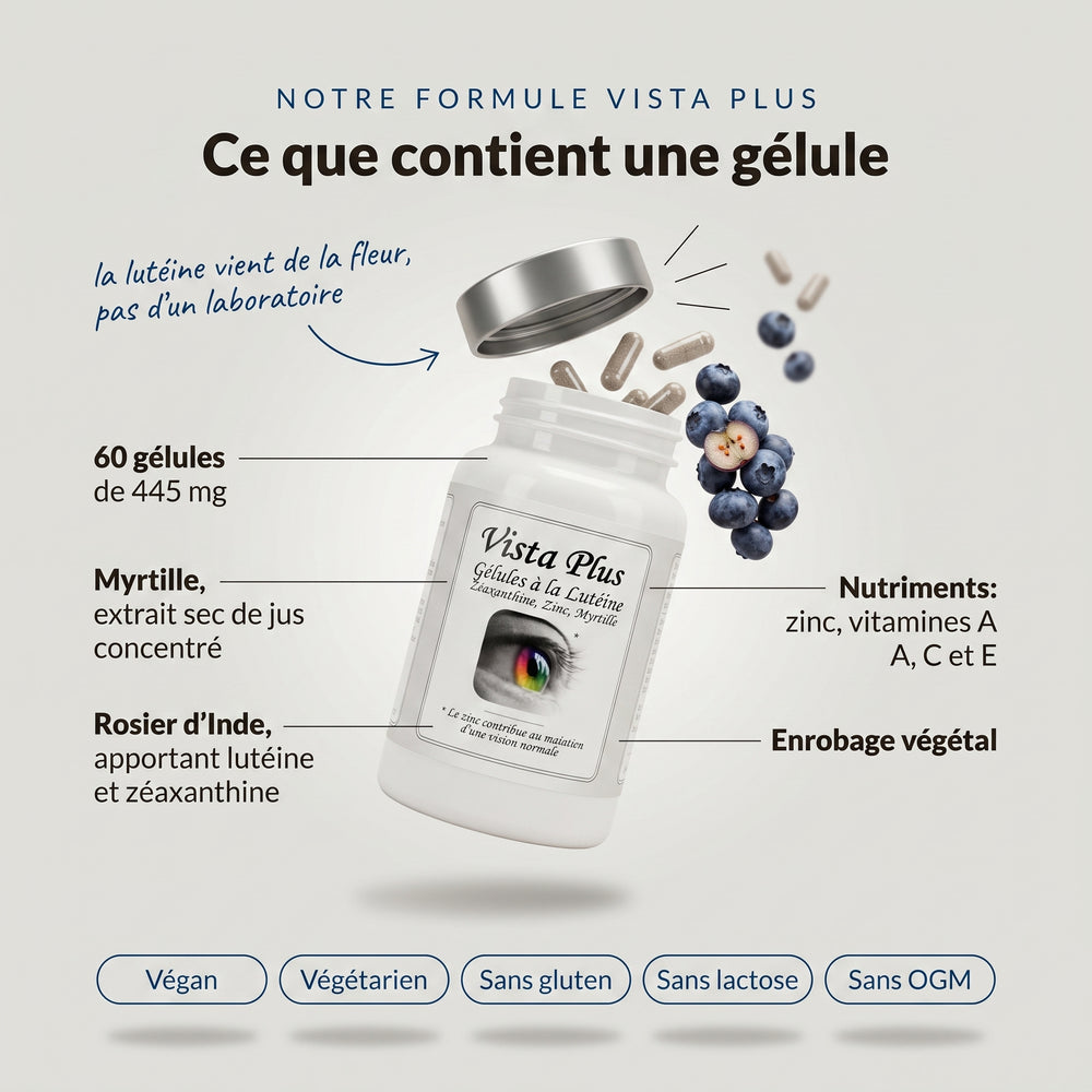 Vista Plus : infographie sur le contenu d’une gélule