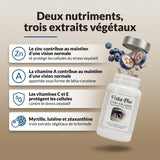 Vista Plus : infographie, deux nutriments et trois extraits végétaux