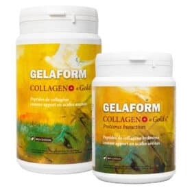 GELAFORM Collagen+ «Gold»