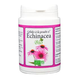 Equinacea trägt zur Vorbeugung von Bakterien und Entzündungen sowie zu einem gut funktionierenden Stoffwechselsystem bei.