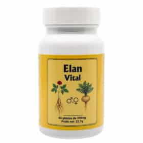 Élan Vital