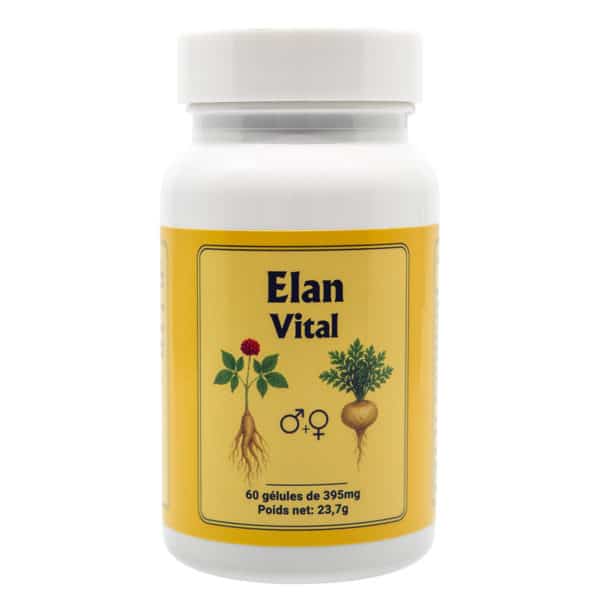 Élan Vital