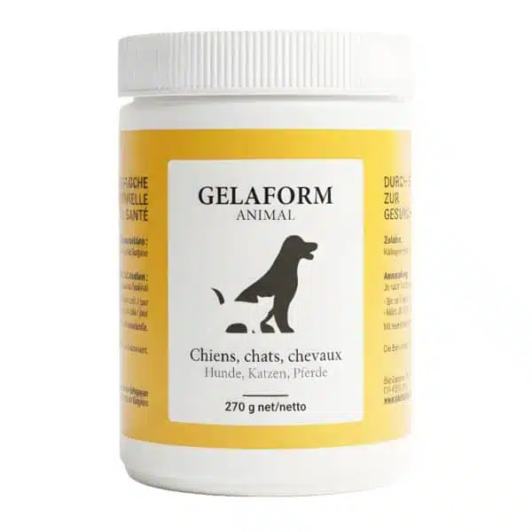 GELAFORM Animal
