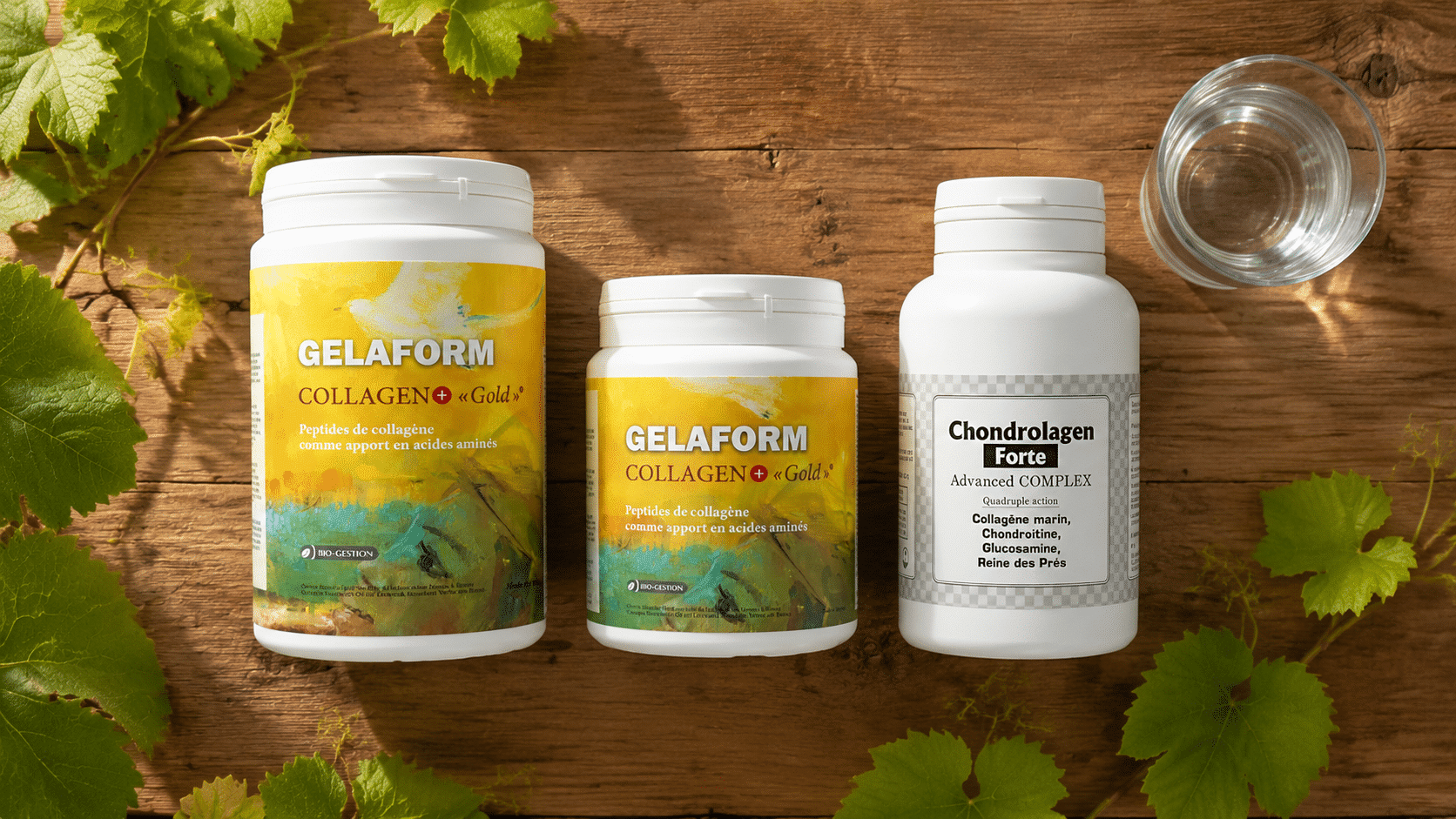 GELAFORM Collagen+ Gold, collagène hydrolysé, poudre soluble, à dissoudre dans un jus d’orange ou d’acérola pour maximiser l’assimilation. Chondrolagen Forte — formule synergique collagène + glucosamine + chondroïtine + cuivre + manganèse, en gélules.